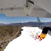 Ash Scattering From Airplane, Orange And Red Roses
