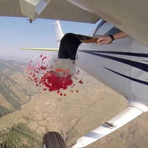 Ash Scattering From Plane With Red Roses