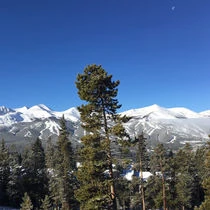 Lonely Tree with Mountain Background